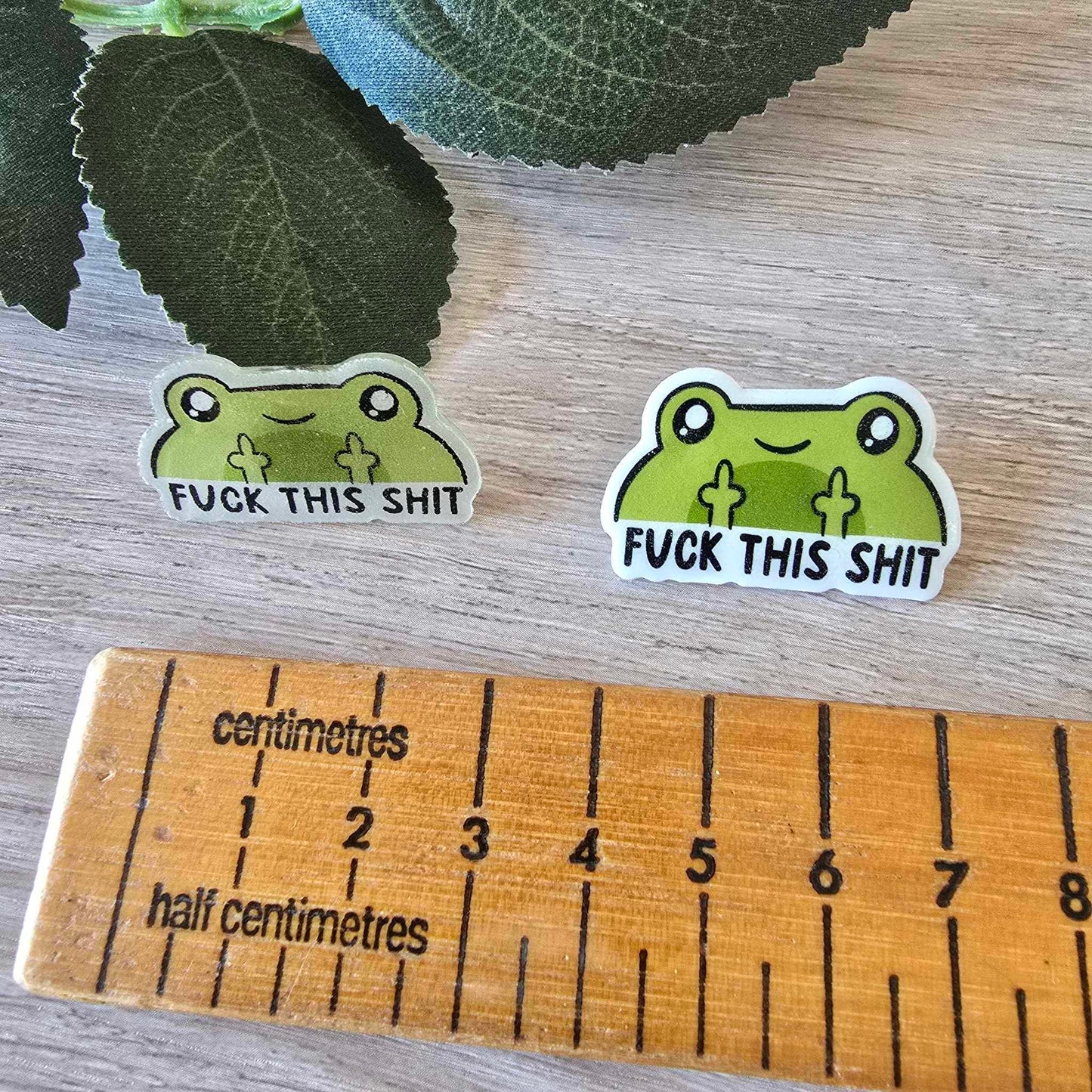 Swearing frog pin
