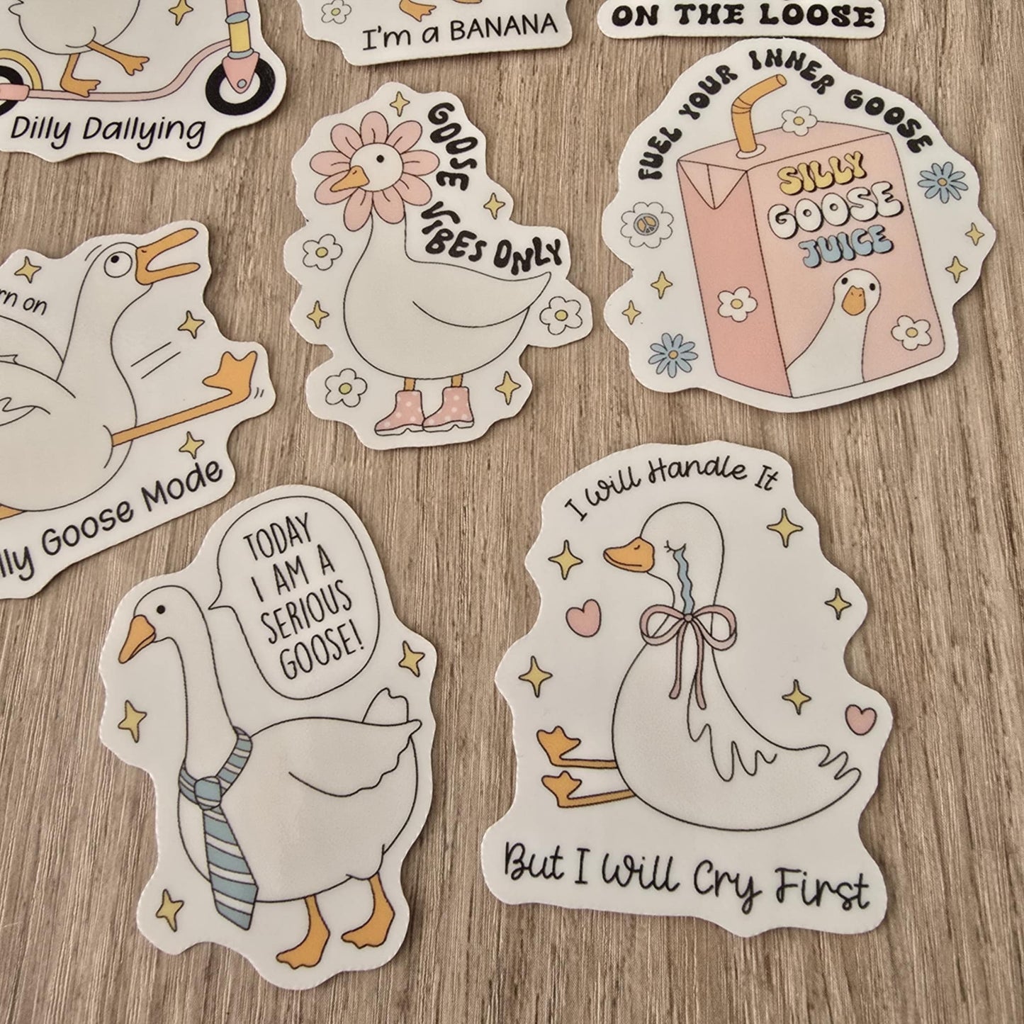 SILLY GOOSE STICKERS X8