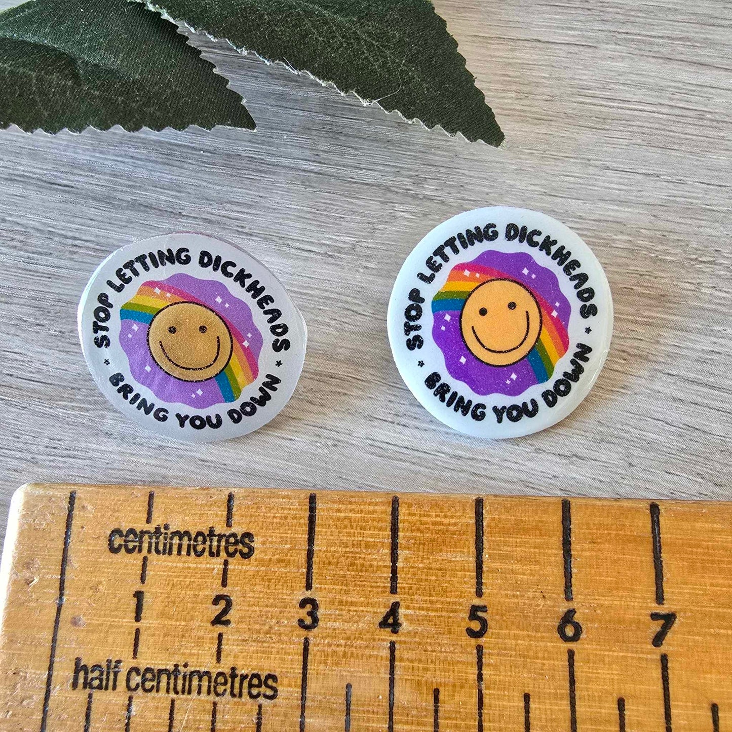 Stop letting dickheads bring you down - pin