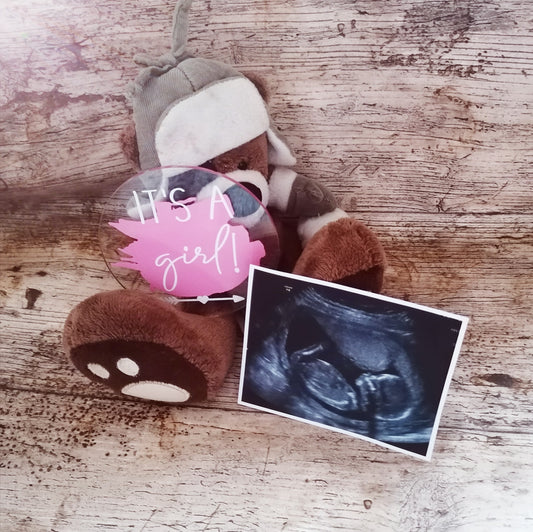 It's a Boy / Girl photo prop disc