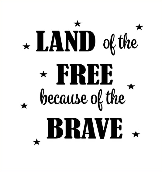 USA06 - LAND/HOME OF THE BRAVE