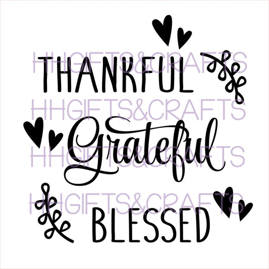 TG24 - THANKFUL GRATEFUL BLESSED - FRAME VINYL